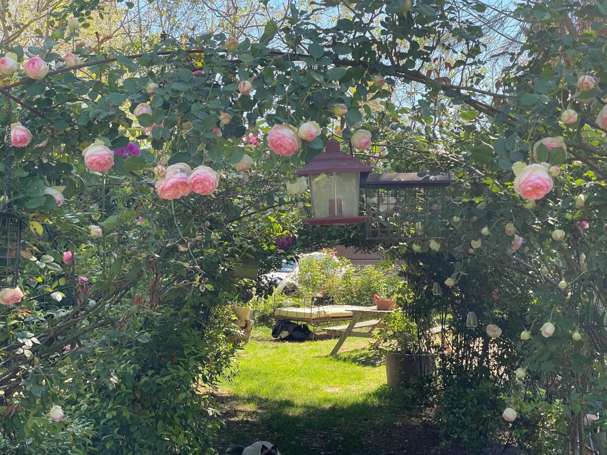 Gites Le Pimayon Manosque Eksteriør bilde