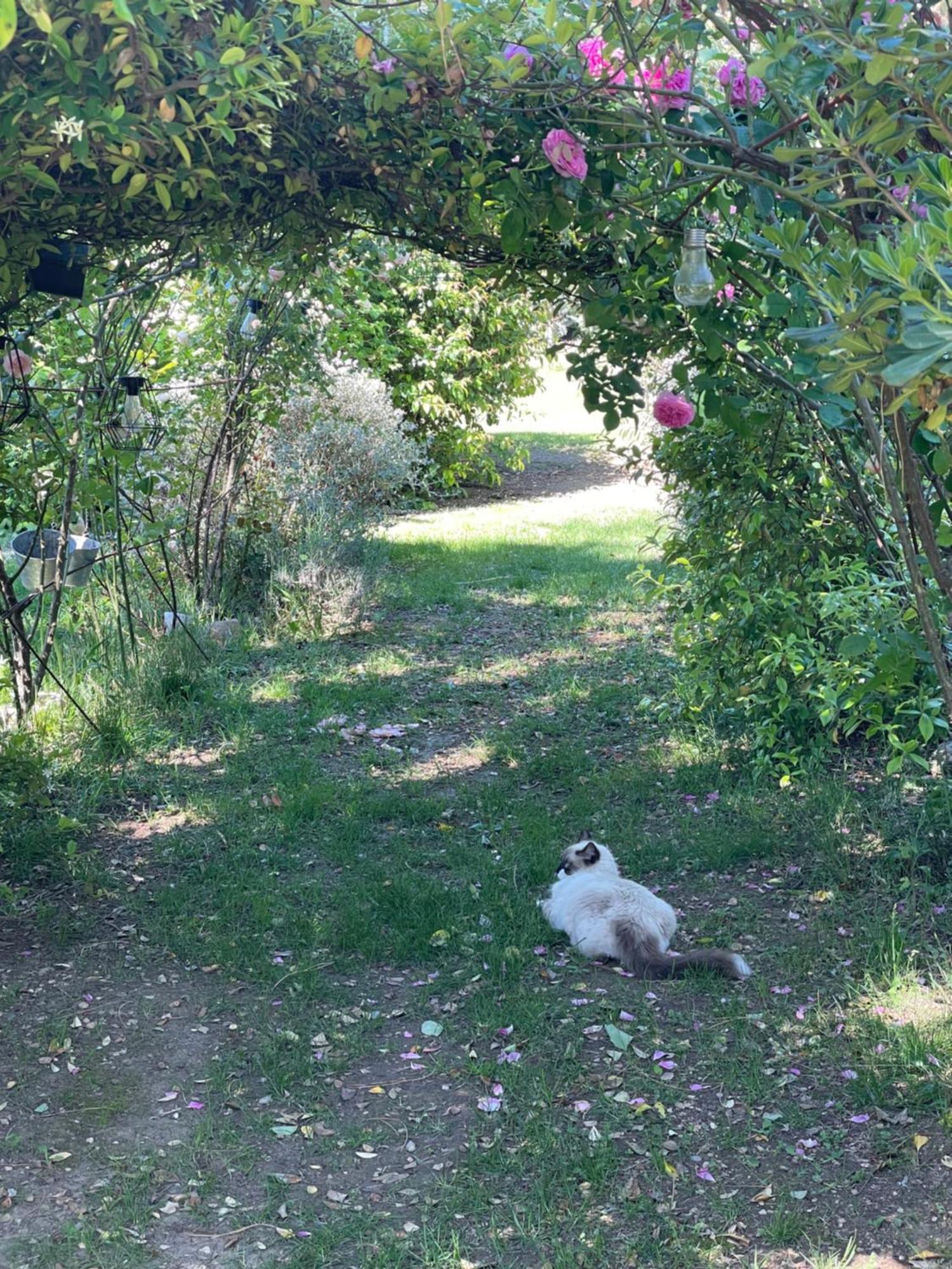 Gites Le Pimayon Manosque Eksteriør bilde