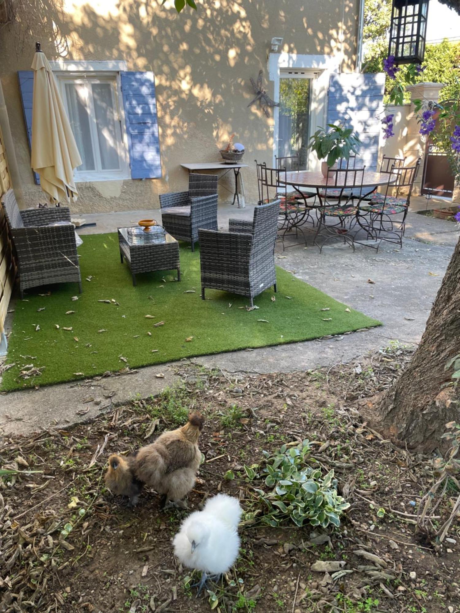 Gites Le Pimayon Manosque Eksteriør bilde