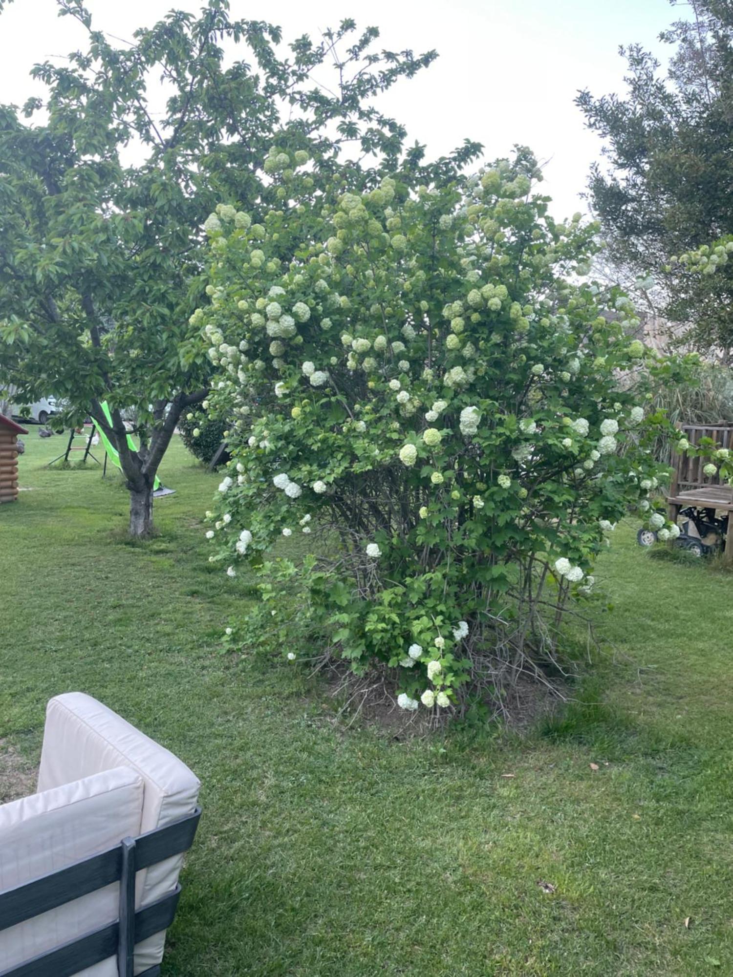 Gites Le Pimayon Manosque Eksteriør bilde