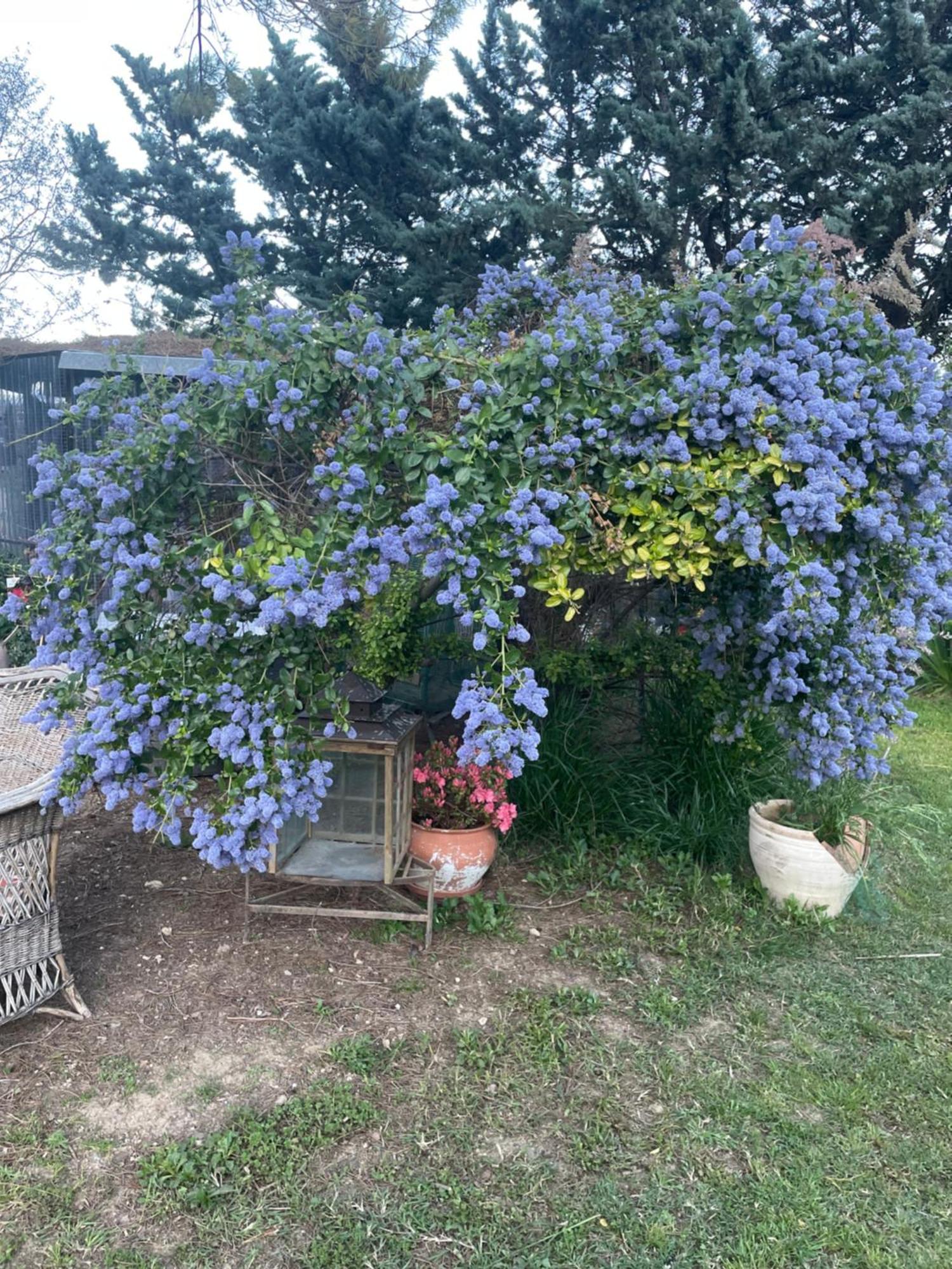 Gites Le Pimayon Manosque Eksteriør bilde
